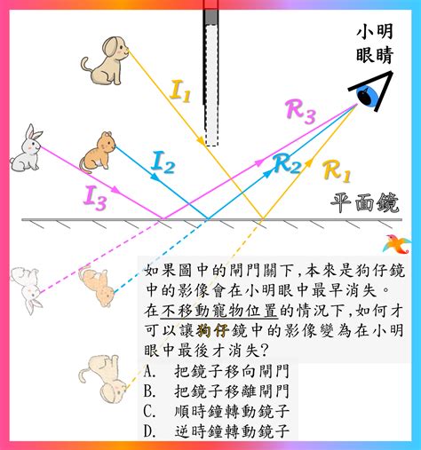 鏡子為什麼會反射|5